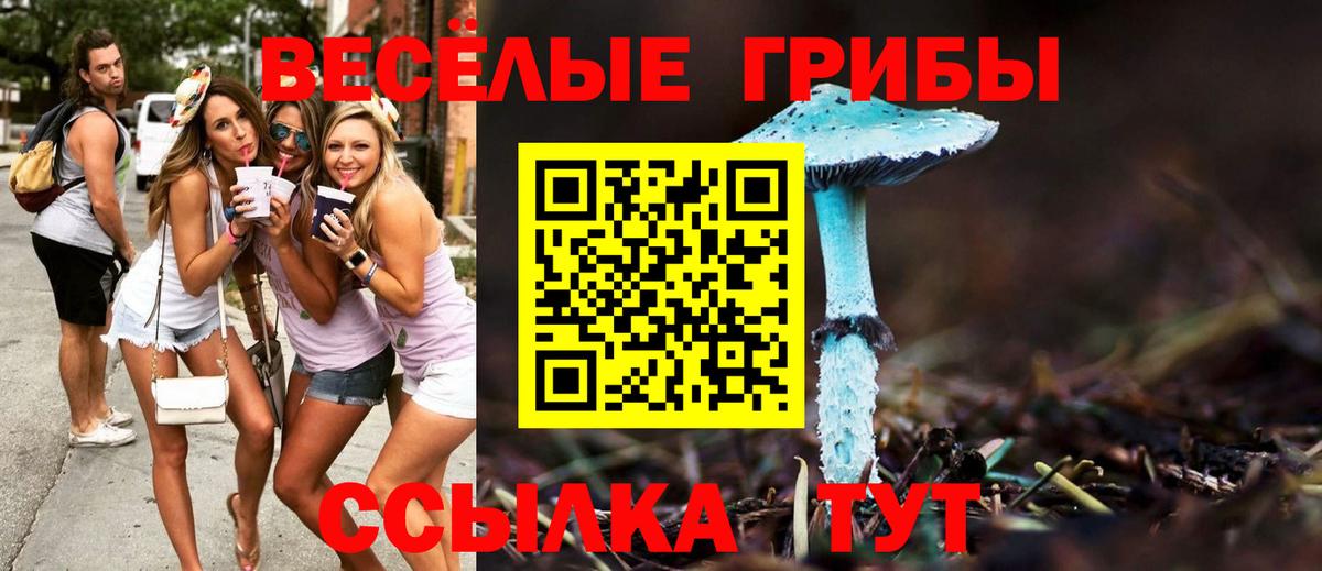 Галлюциногенные грибы мицелий  Псилоцибиновые грибы прущие грибы  Тихвин  где продают наркотики  Вход с VPN 